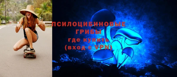 дживик Михайловск