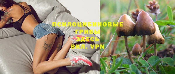 дживик Михайловск